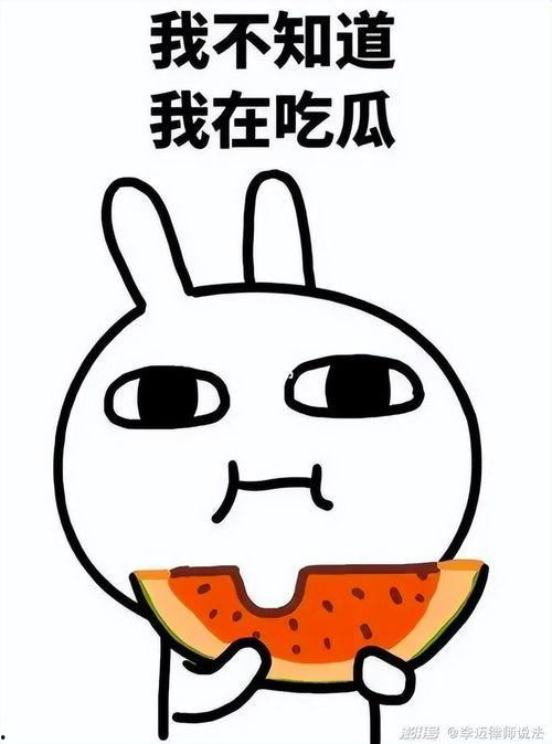 娱乐圈吃瓜白底图表情包,吃瓜群众的欢乐源泉